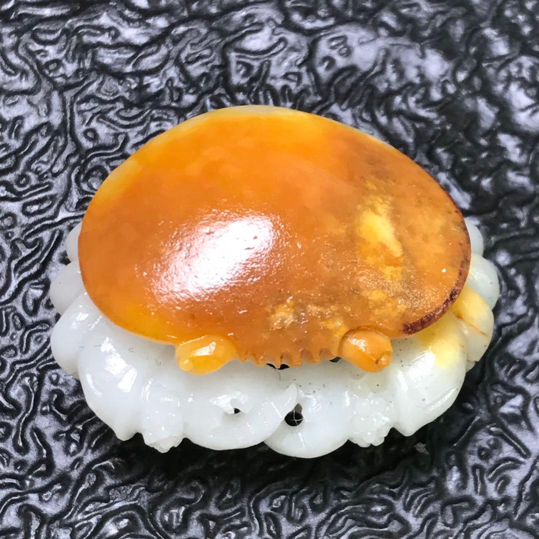蒙玉真人