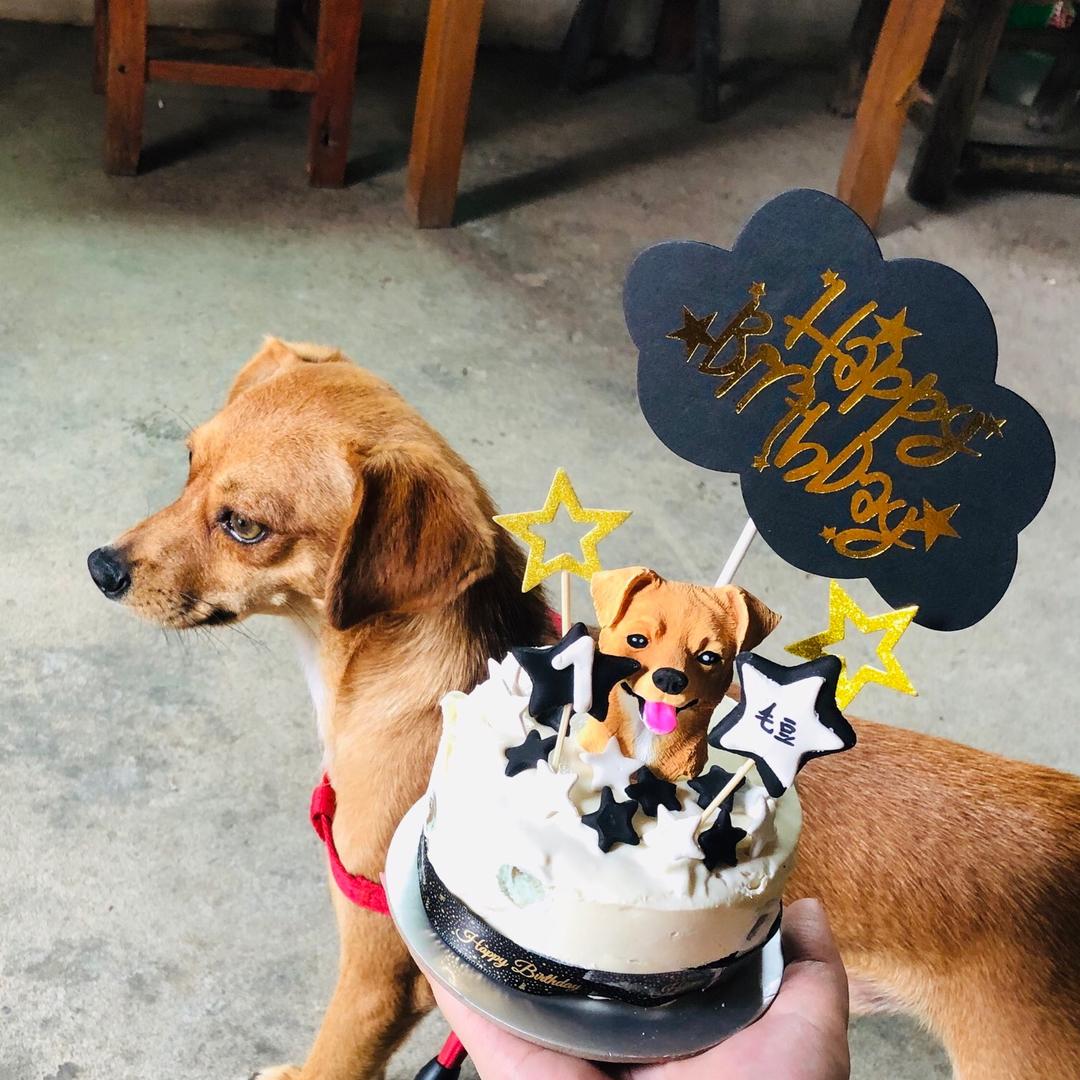 小陈陈~