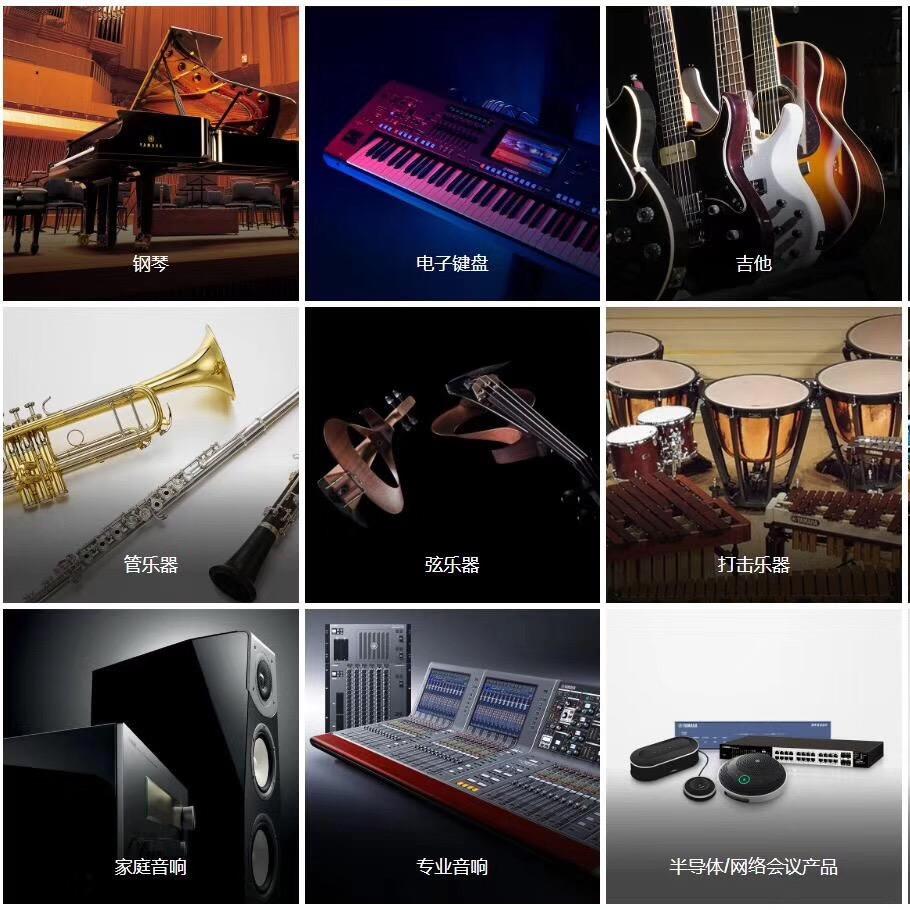 绥化市丽音乐器音响有限公司（丽音琴行）