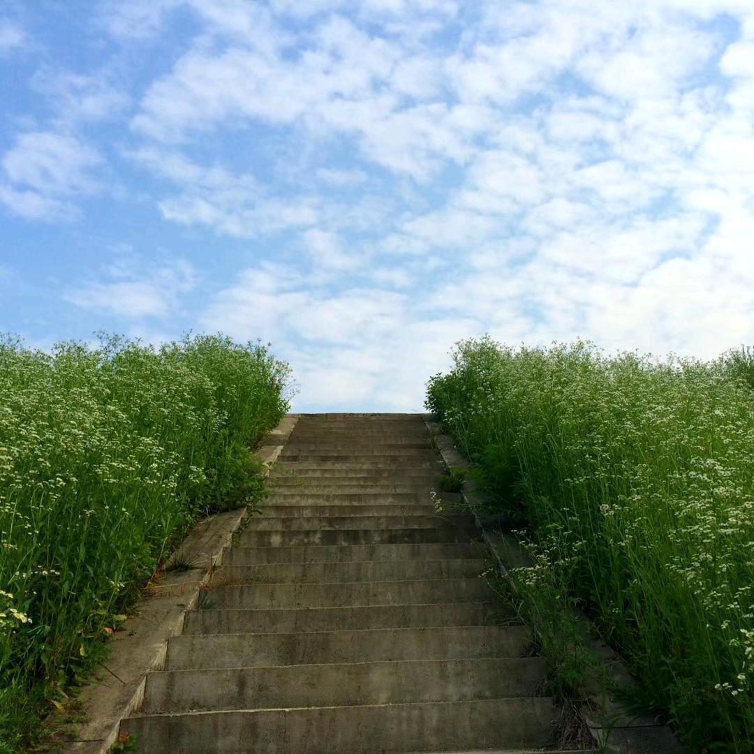 一生向暖
