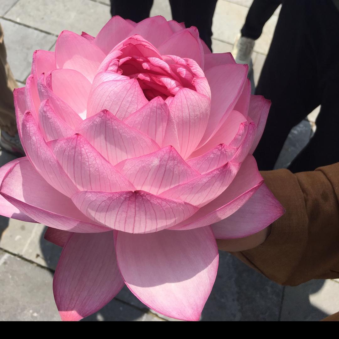 ✨ 小心💞亿亿ഒᩚ💫