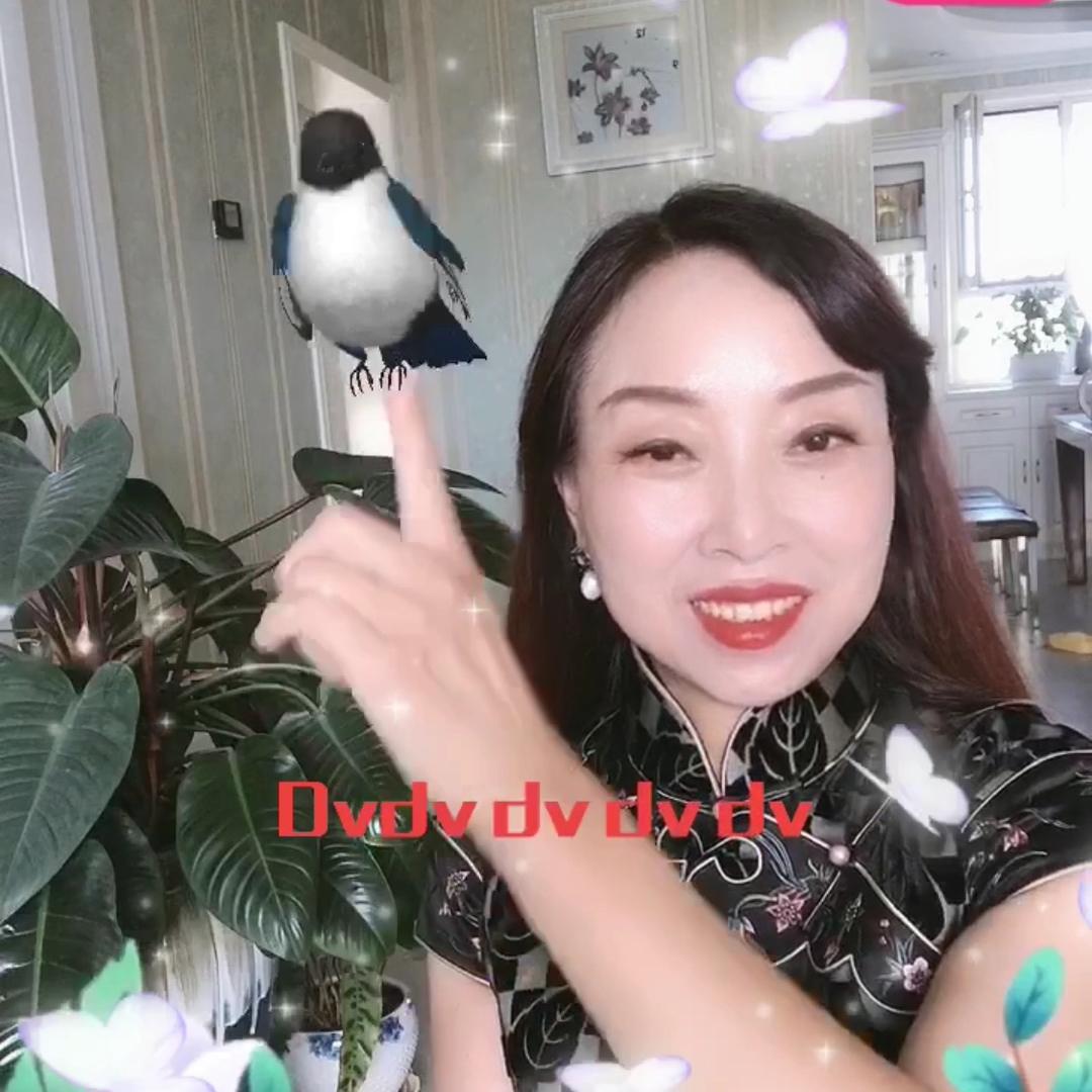 昌吉市美美玺商行