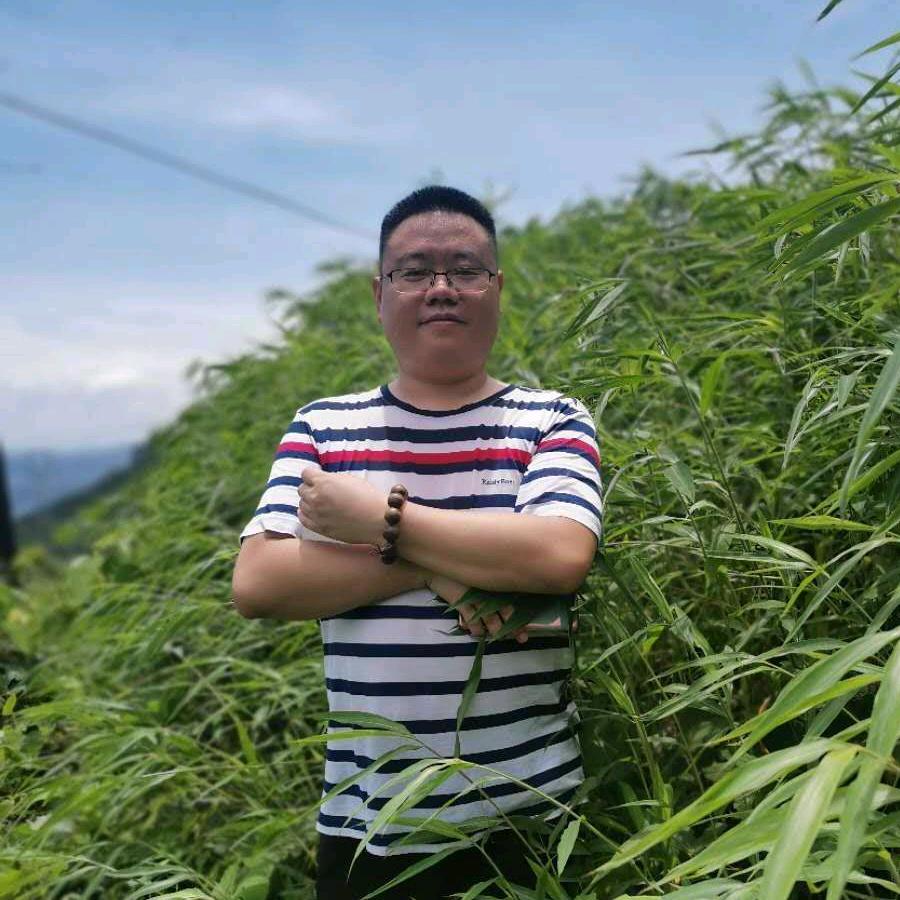启帆