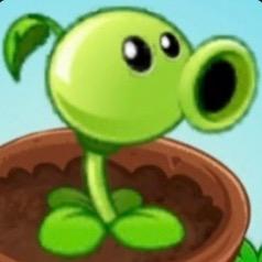 van豆