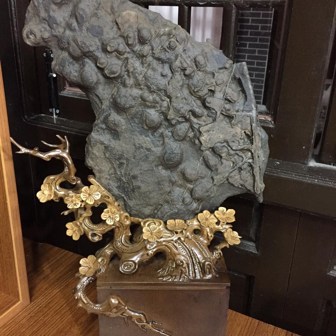 葱葱岁月