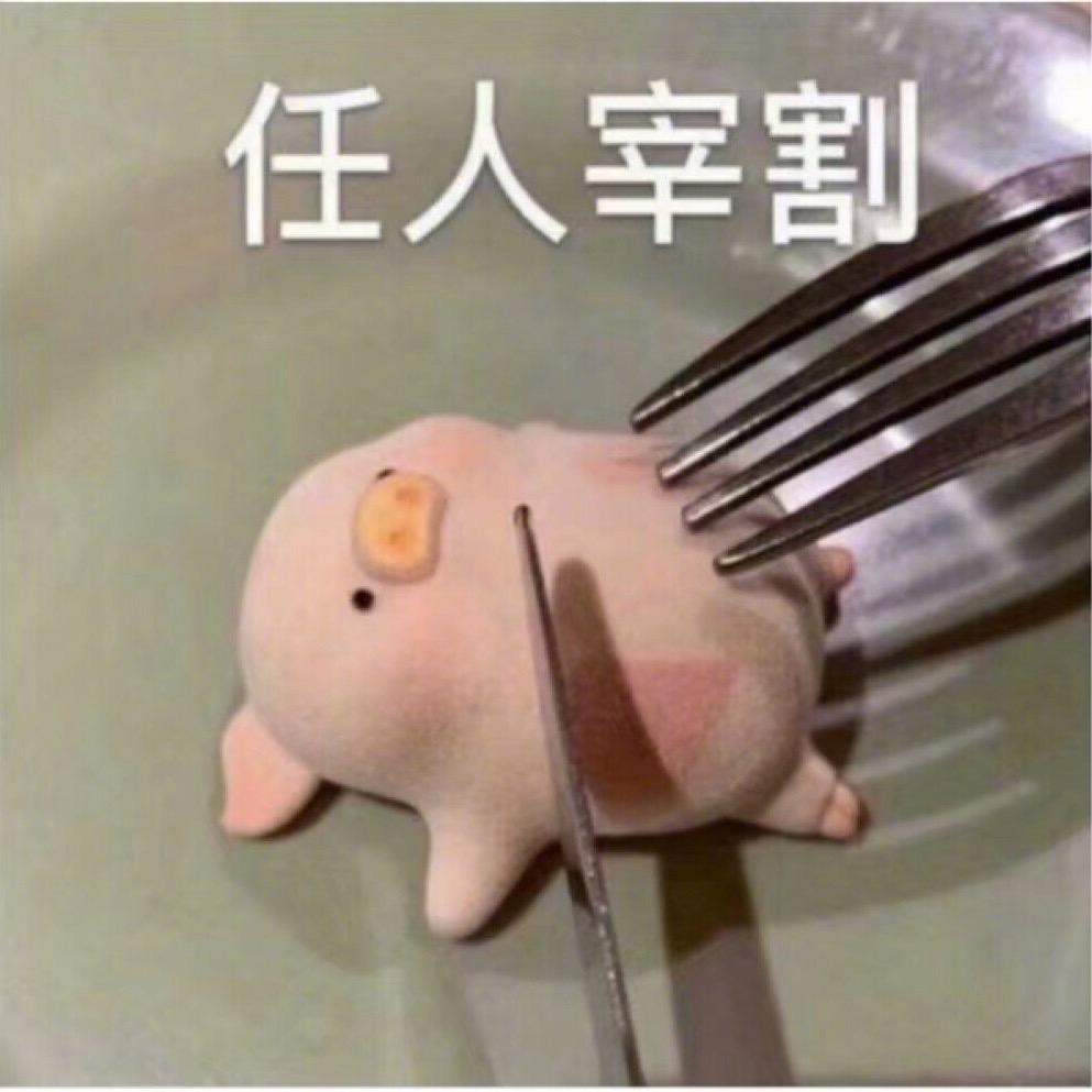 菜菜🐶憨憨🐱