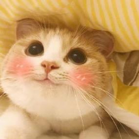 啾咪啾咪、