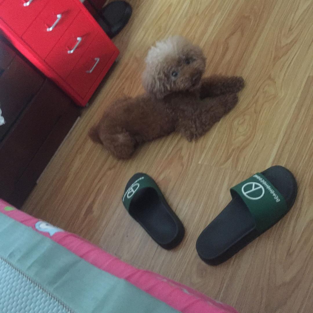 王小子