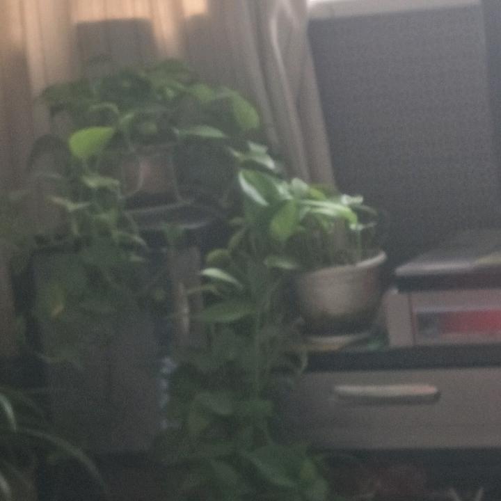 知福
