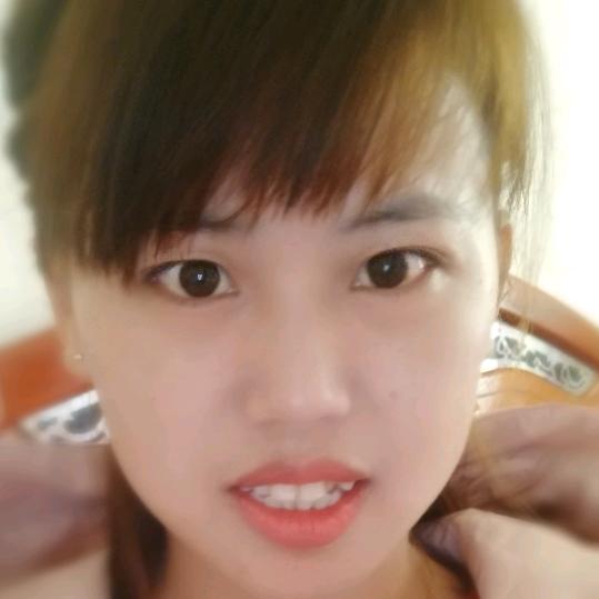 琴