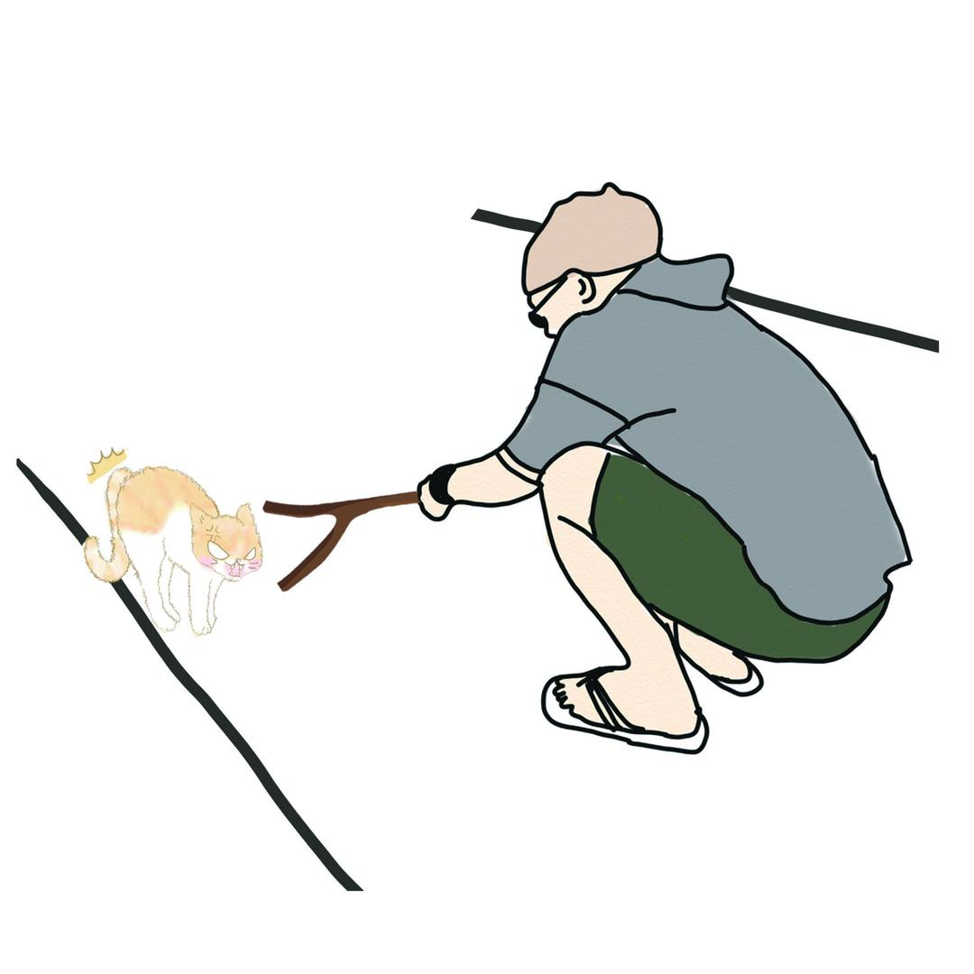老付和猫的小酒馆