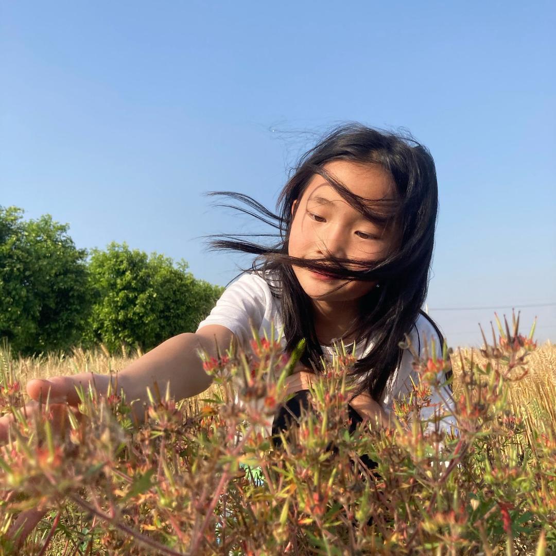 如皋全屋定制-天美甄品