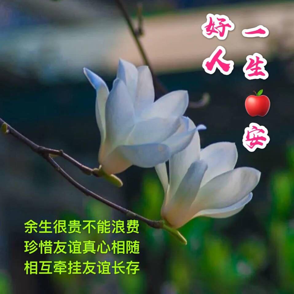 付文