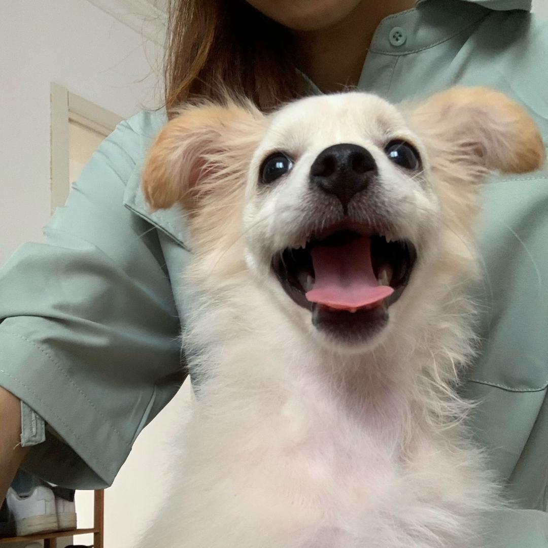 蹦蹦虾瞎蹦哒