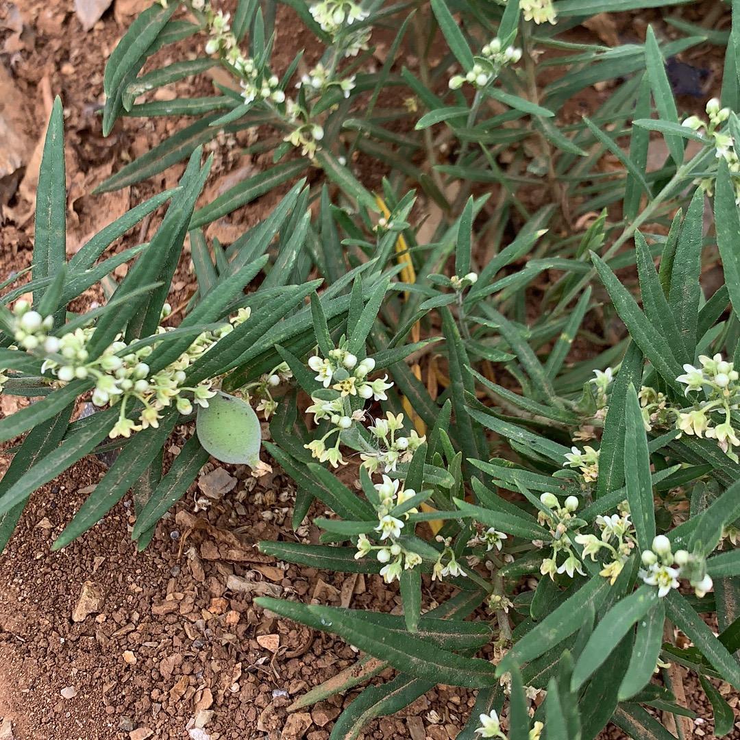 青海穆域宫餐饮