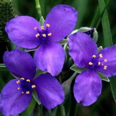 🌺嘻嘻宝贝❤️