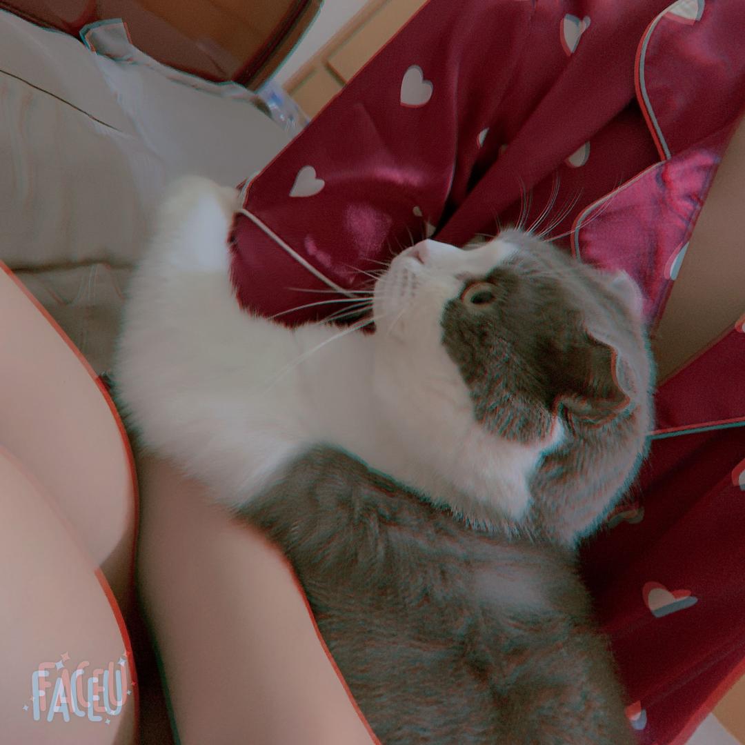 @小满哥成长记🧸