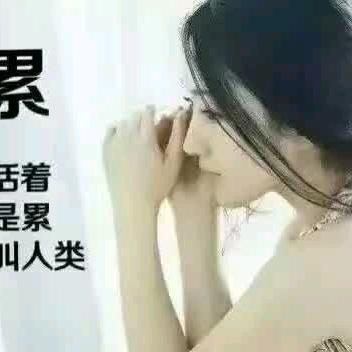赵美玲
