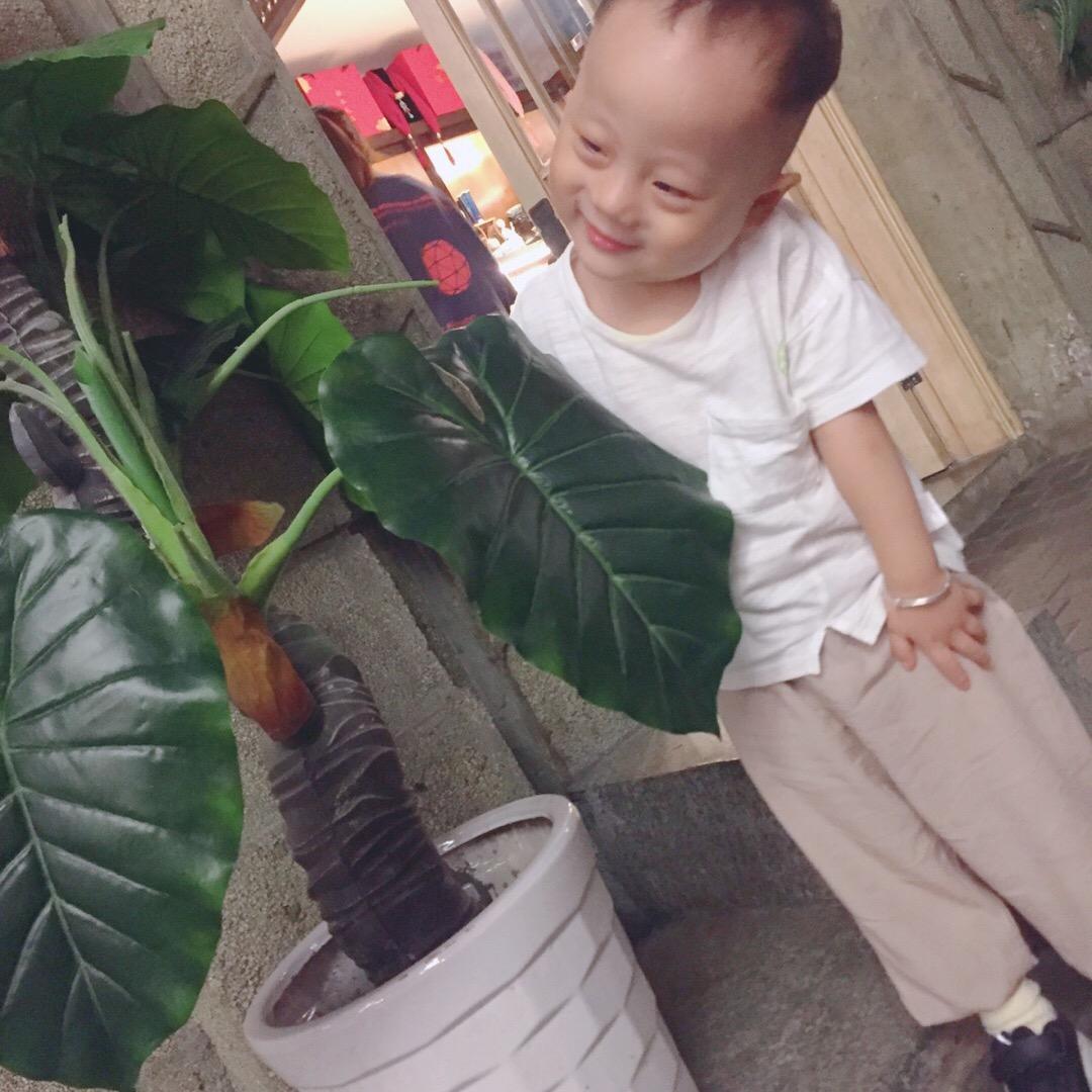 清清奶奶