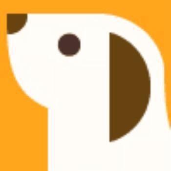 狗狗元气满满