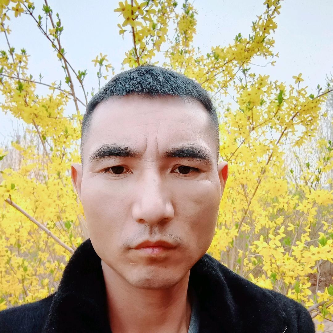杭城豹哥