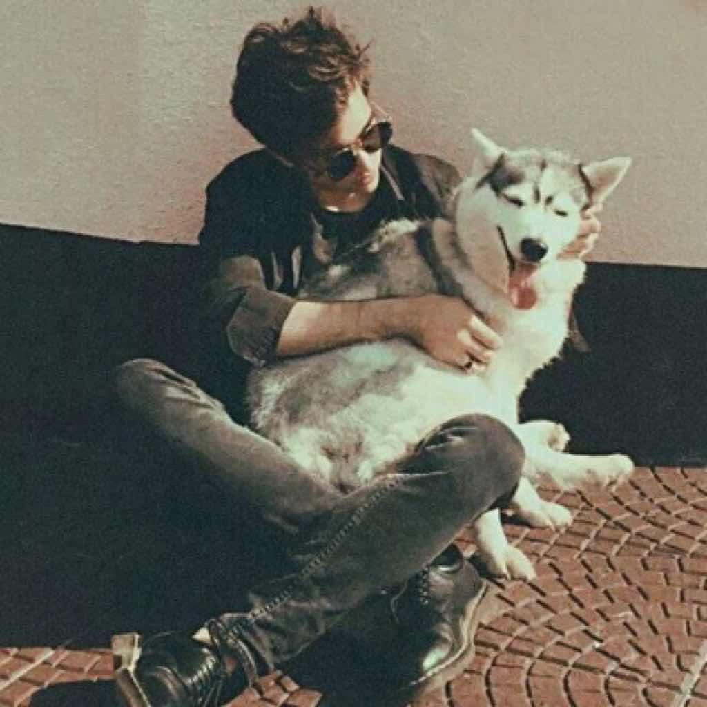 篪掀翻巴赫迪迪