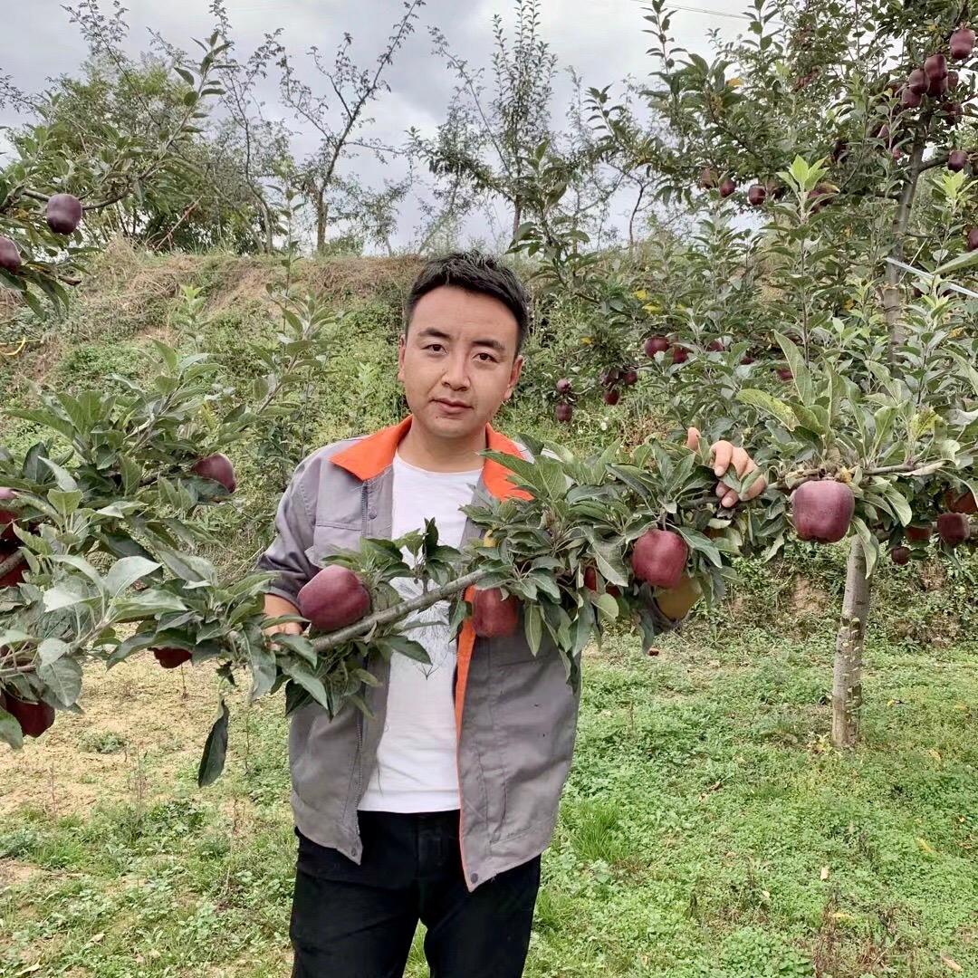 甘肃小马（农村生活）