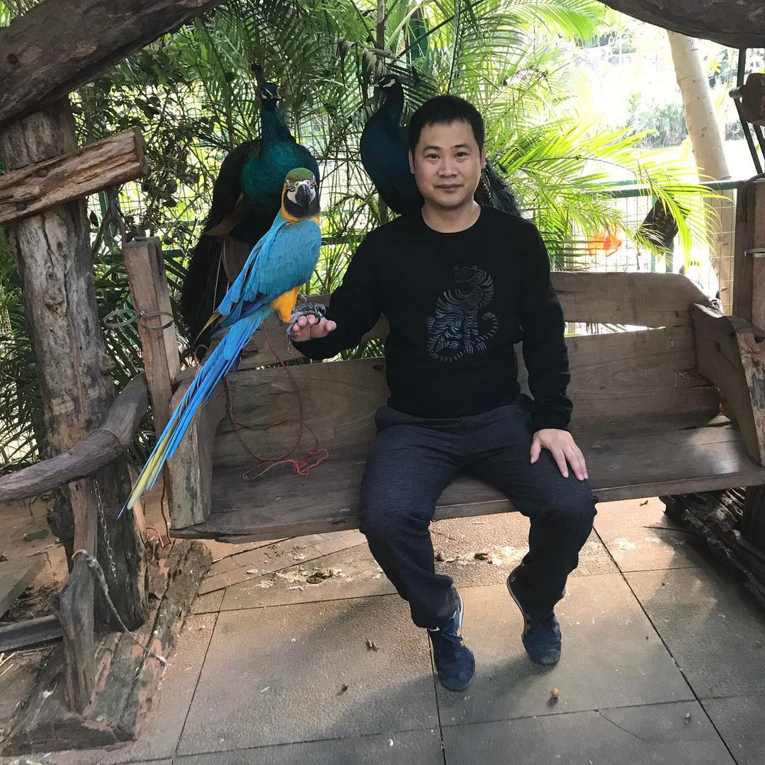 六八丰
