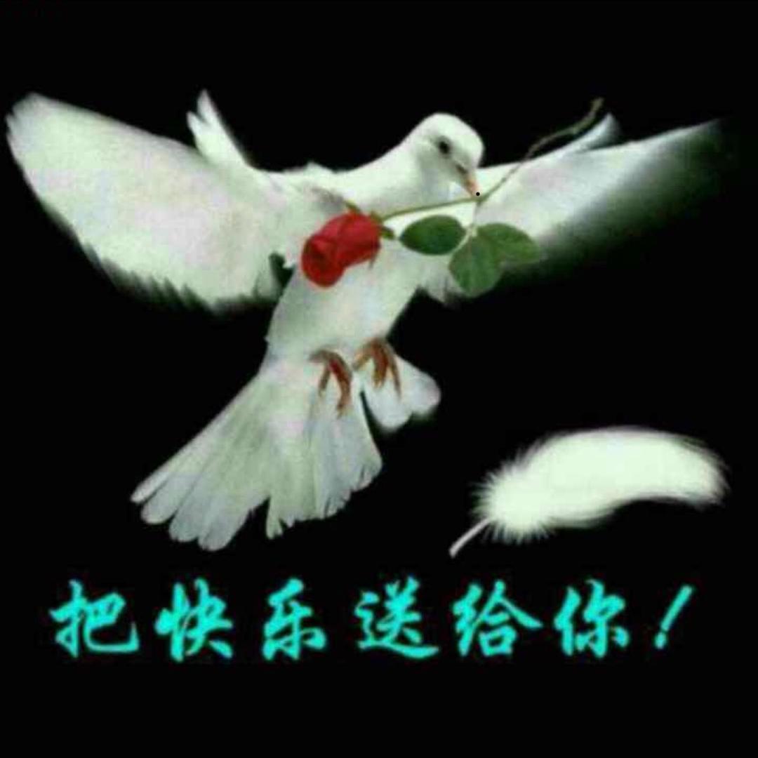 把快乐送给妳。