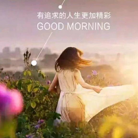 梦丽非营
