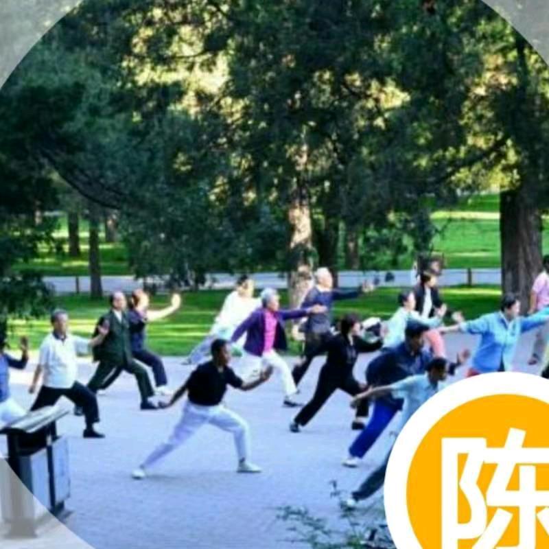 别惹我，我不是病猫