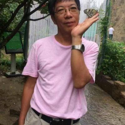 用户3395353905306神州行