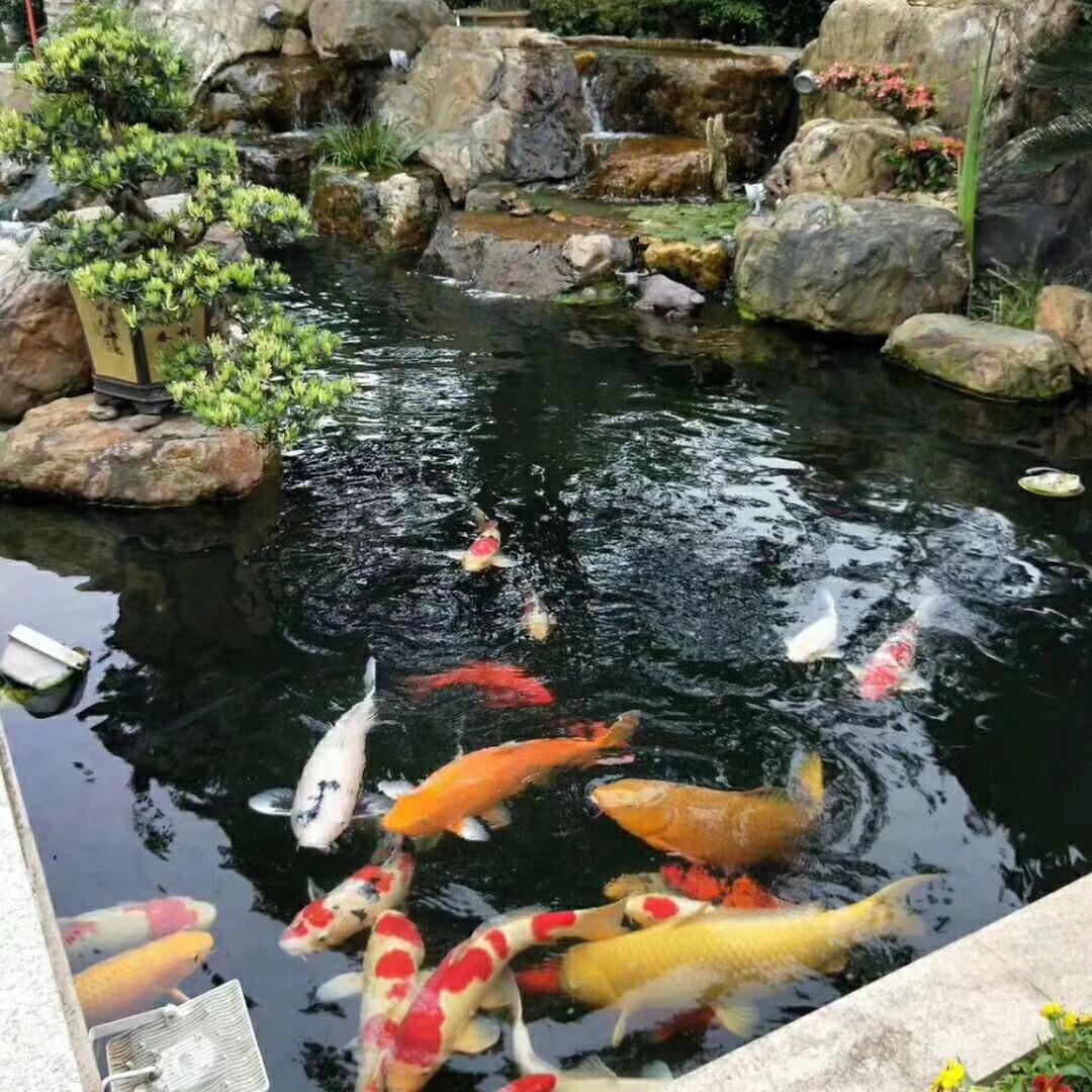 志良百草药业