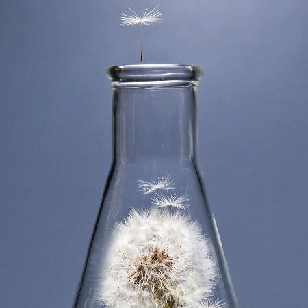 简简单单的爱，