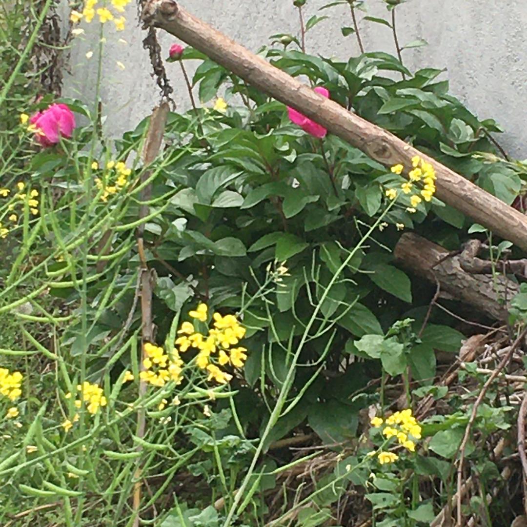 美美2019