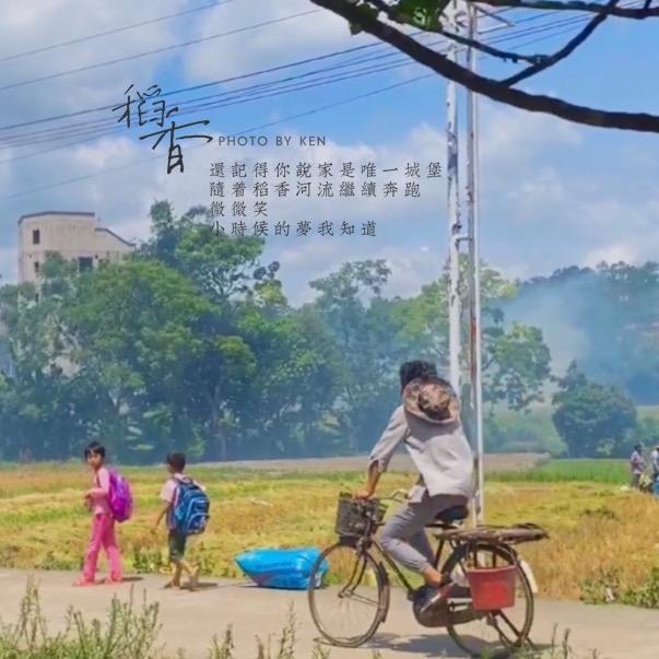 田埂上的梦