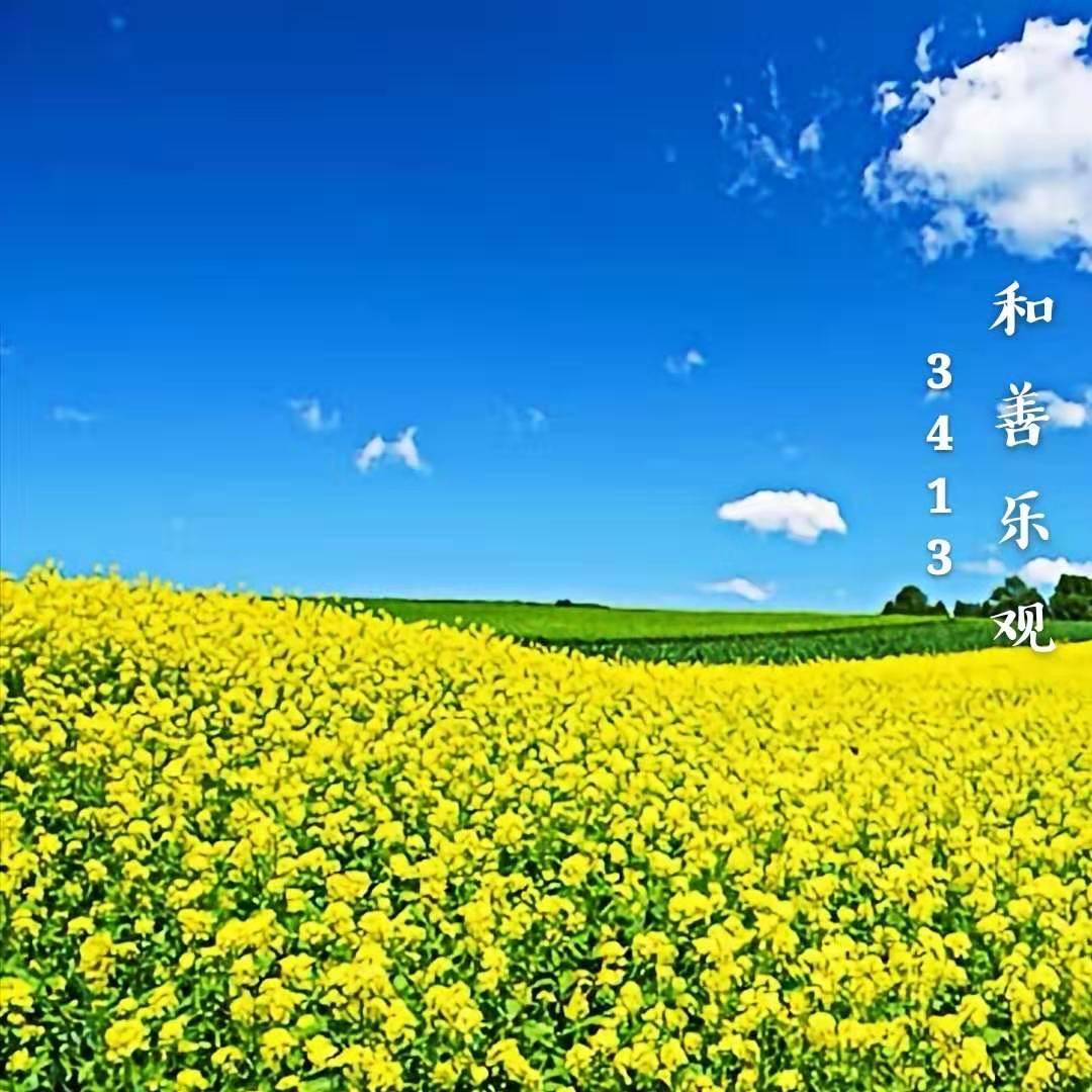 圣然4134