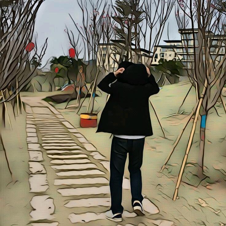 橙纸的橙