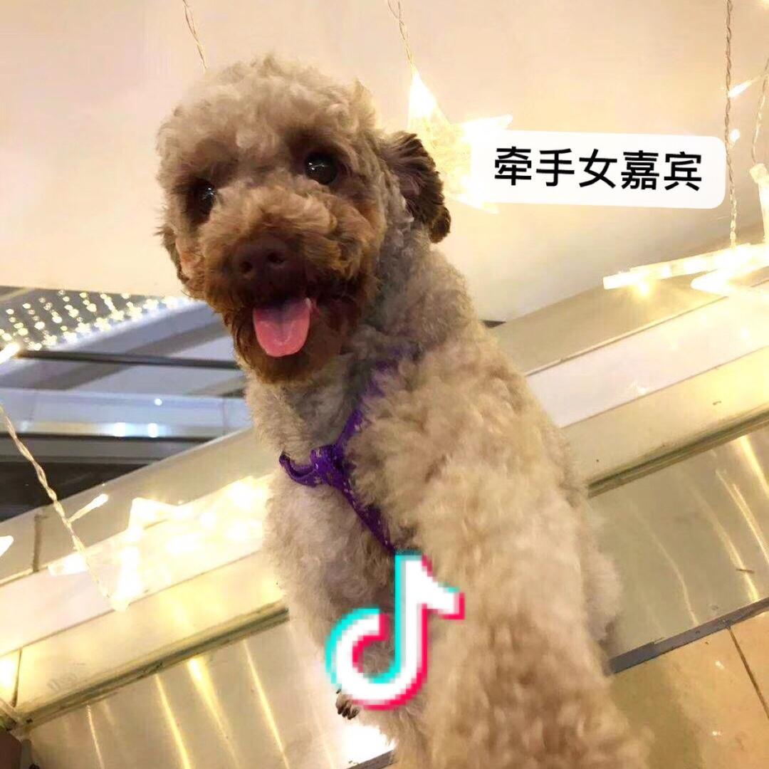 卫生巾用立白