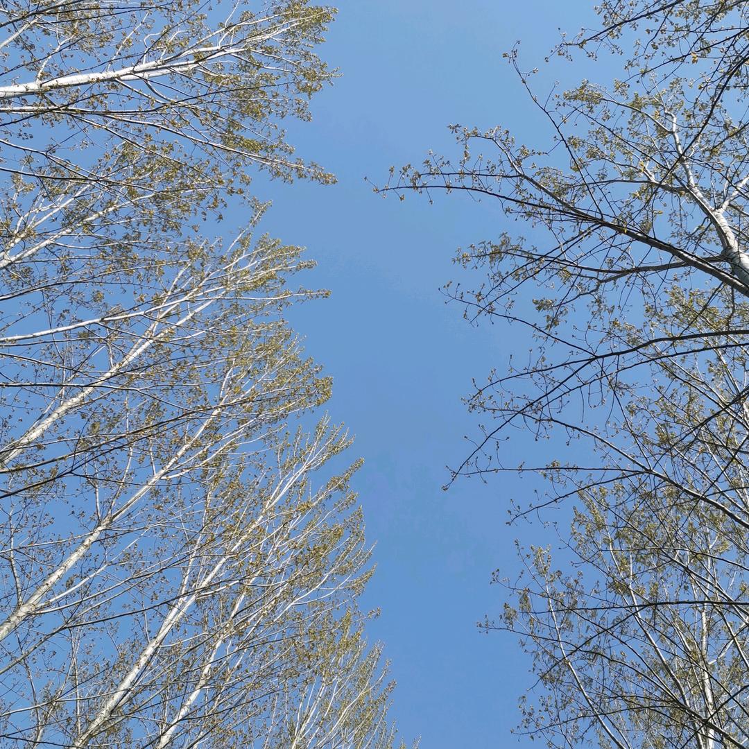 对方正在输入……