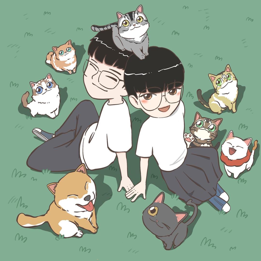 喵宫主猫咪咖啡馆·撸猫·柴犬馆