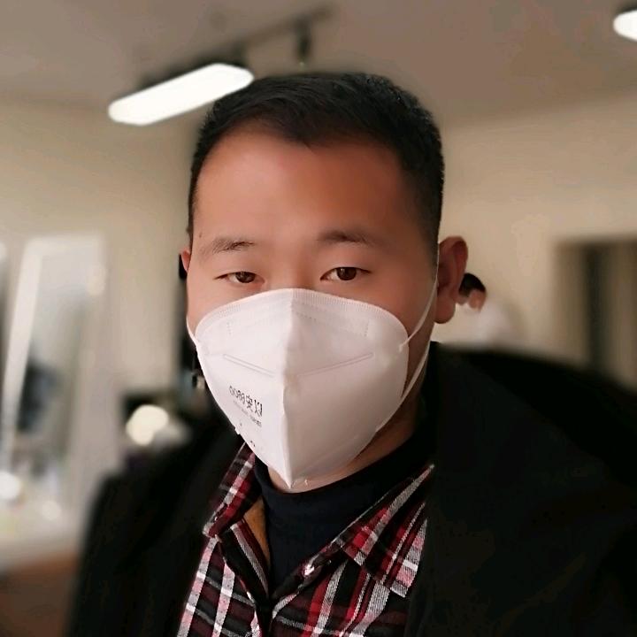 杨树