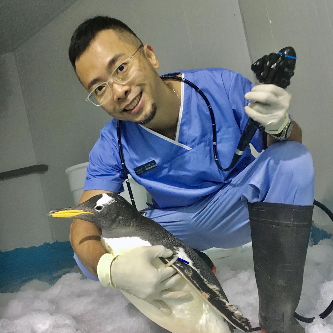 兽医JohnJohn的奇妙日记🐍