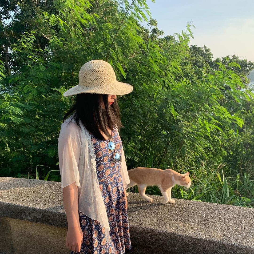 小饼遇见猫