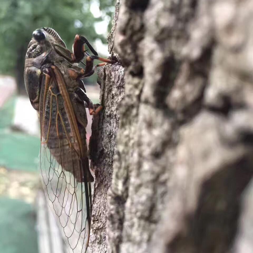 翰璞