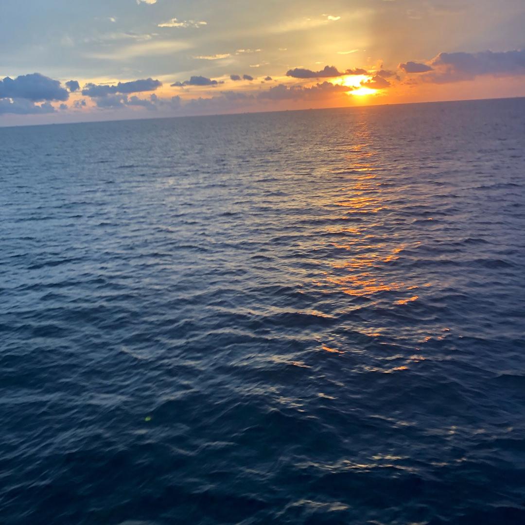 侠客行🐂虎🐯茶庄