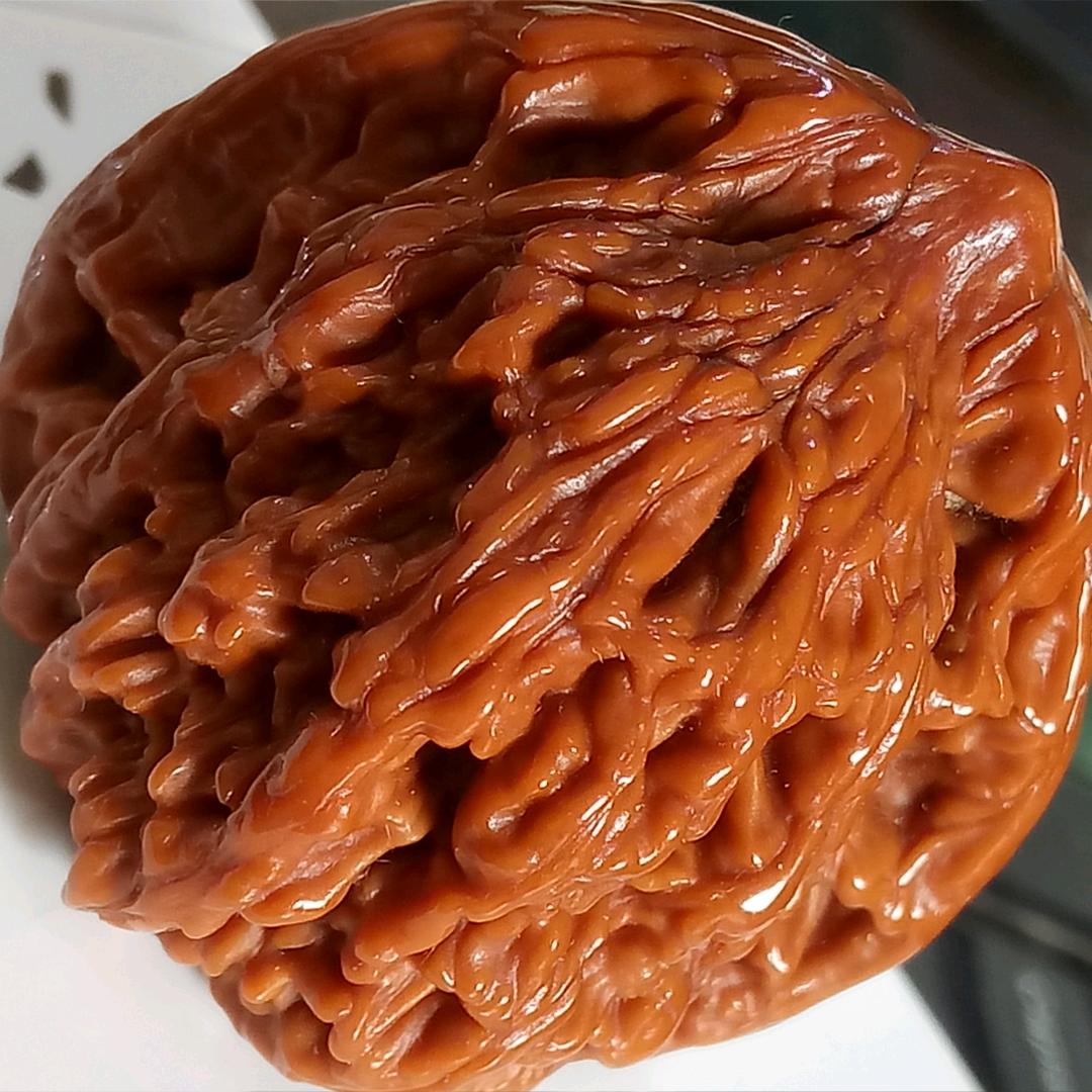 春华秋实