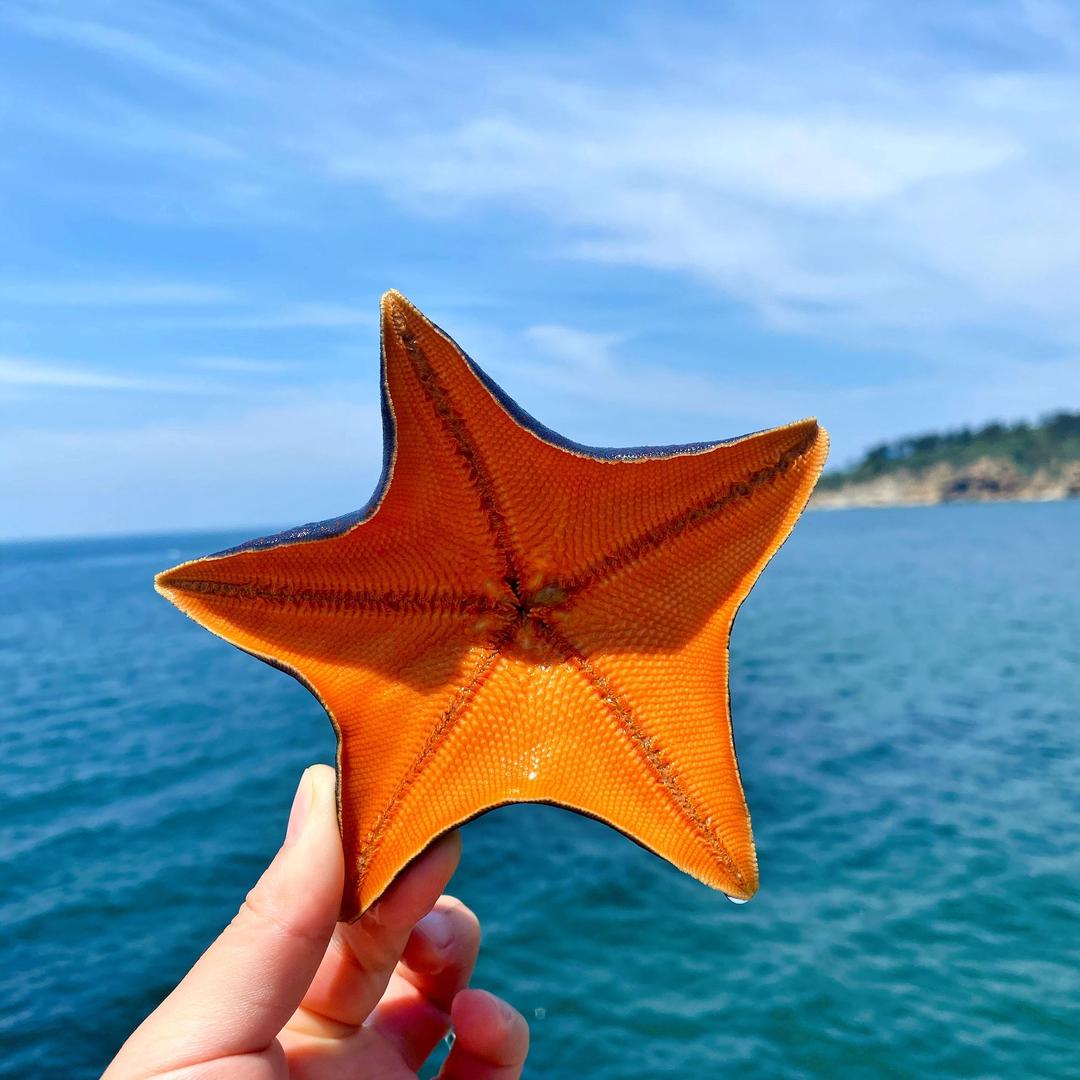 ♓️巨蟹座♐️