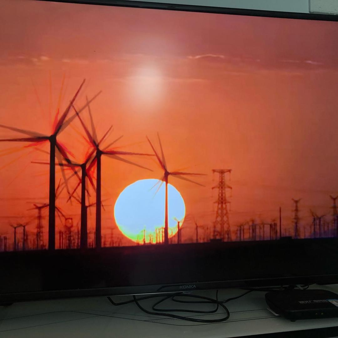 烙莲花形～王涛