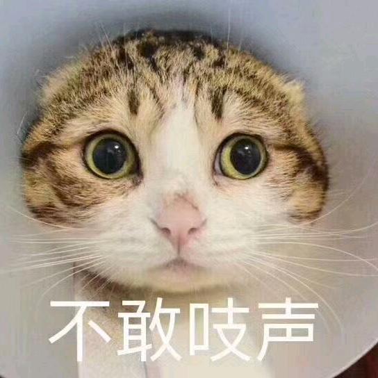 皮休